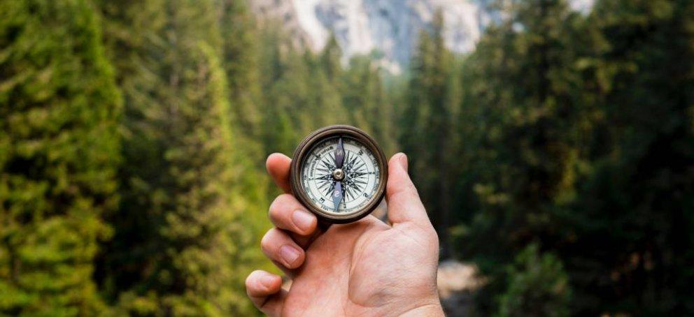 A hand holds a compass with a view of tall trees and mountains in the background